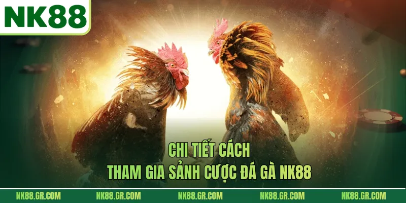 Chi tiết cách tham gia sảnh cược đá gà NK88