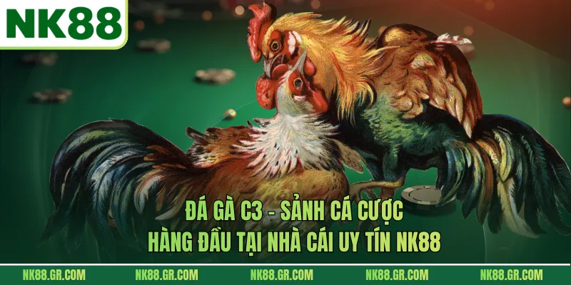 Đá Gà C3 - Sảnh Cá Cược Hàng Đầu Tại Nhà Cái Uy Tín NK88