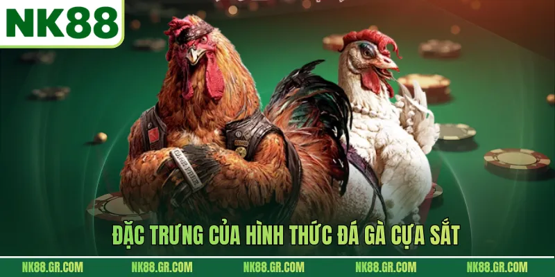 Đặc trưng của hình thức đá gà cựa sắt