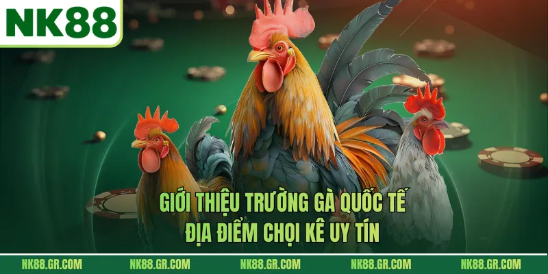 Giới thiệu trường gà quốc tế địa điểm chọi kê uy tín